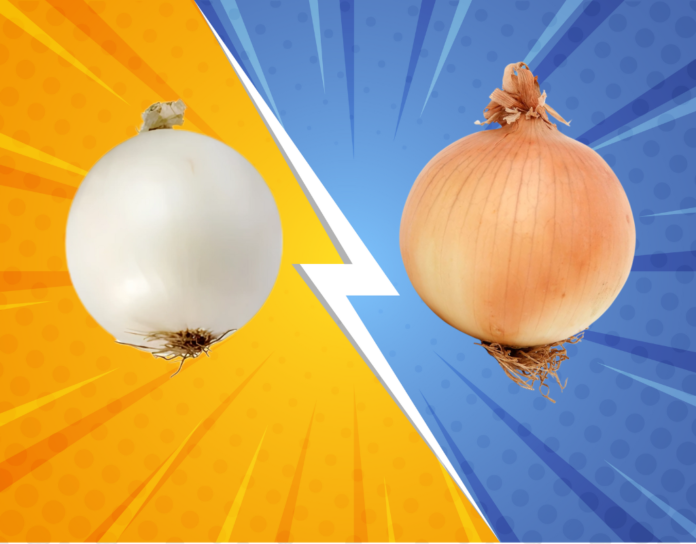 image yellow onion vs white onion